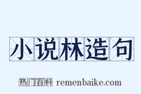 小说林造句是什么意思的图片